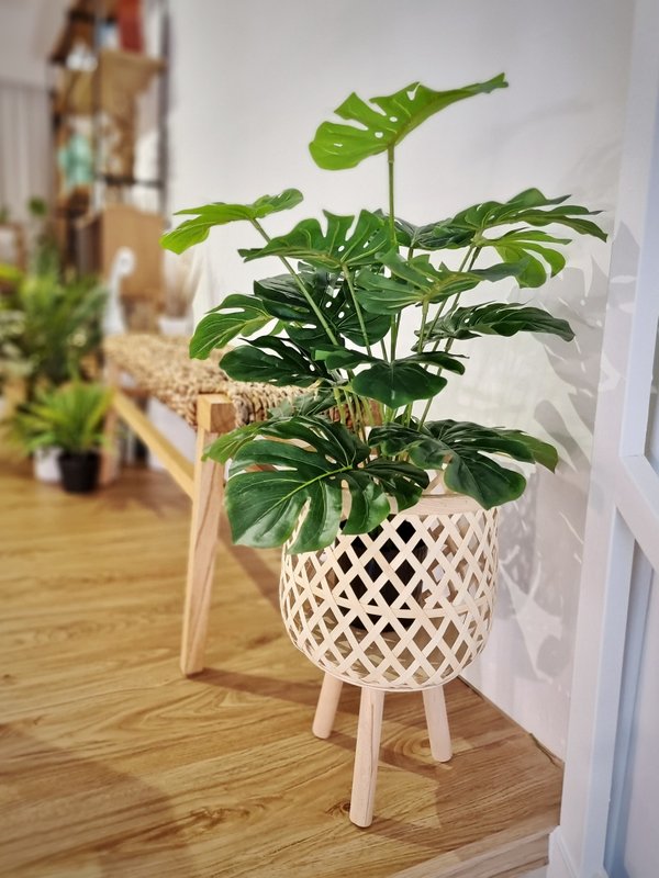 Monstera Plant 0.7m (Green) - Faux