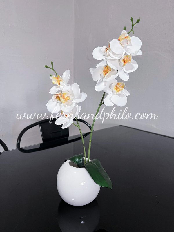 Orchid Mini (White) Table Size - Faux